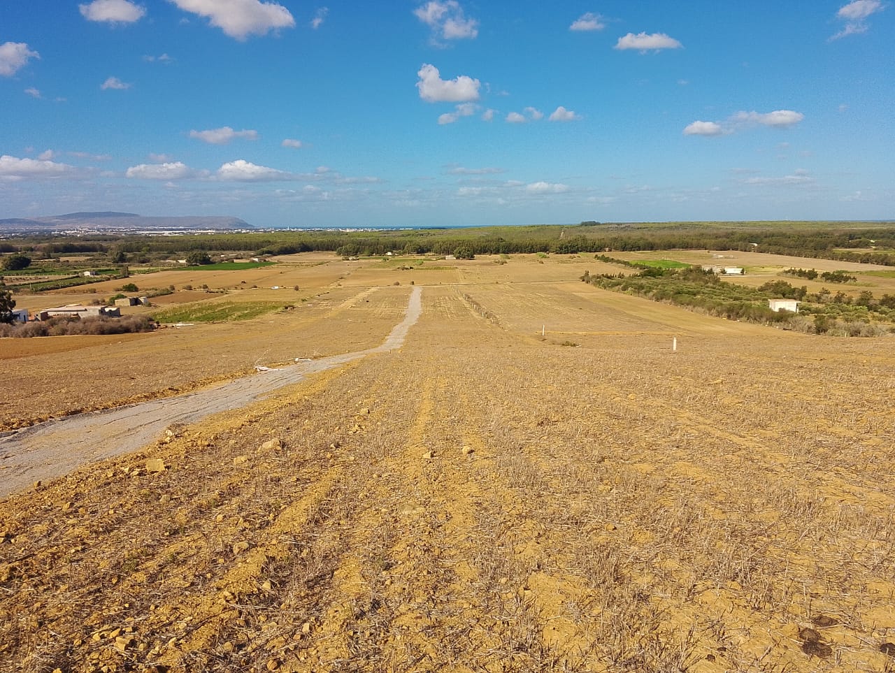 Kelibia&nbsp;Azmour&nbsp;Vente&nbsp;Surfaces&nbsp;Magnifique terrain au calme