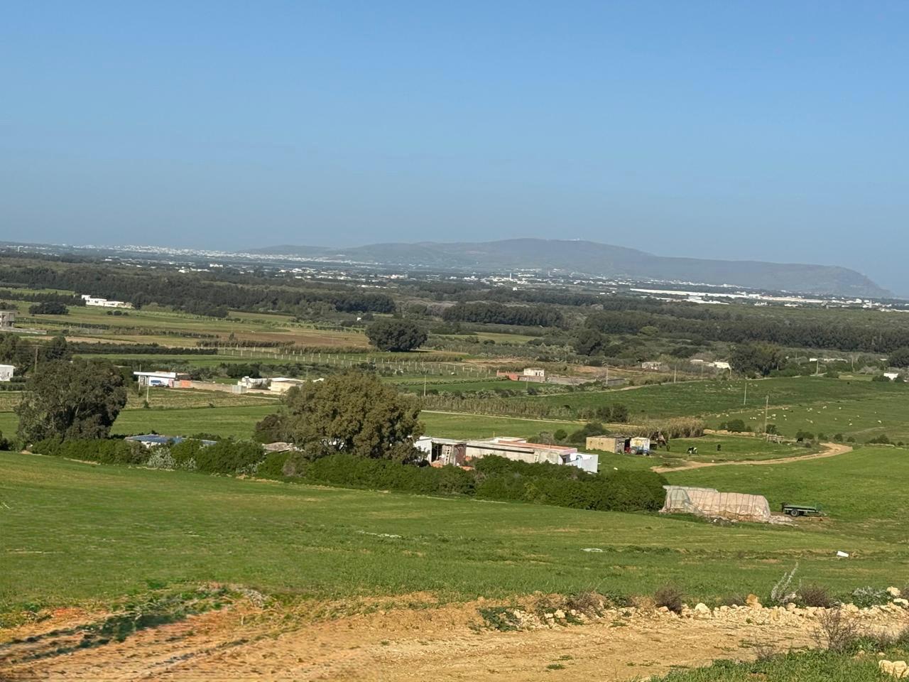 Kelibia&nbsp;Azmour&nbsp;Vente&nbsp;Surfaces&nbsp;Superbe emplacement calme et air pur