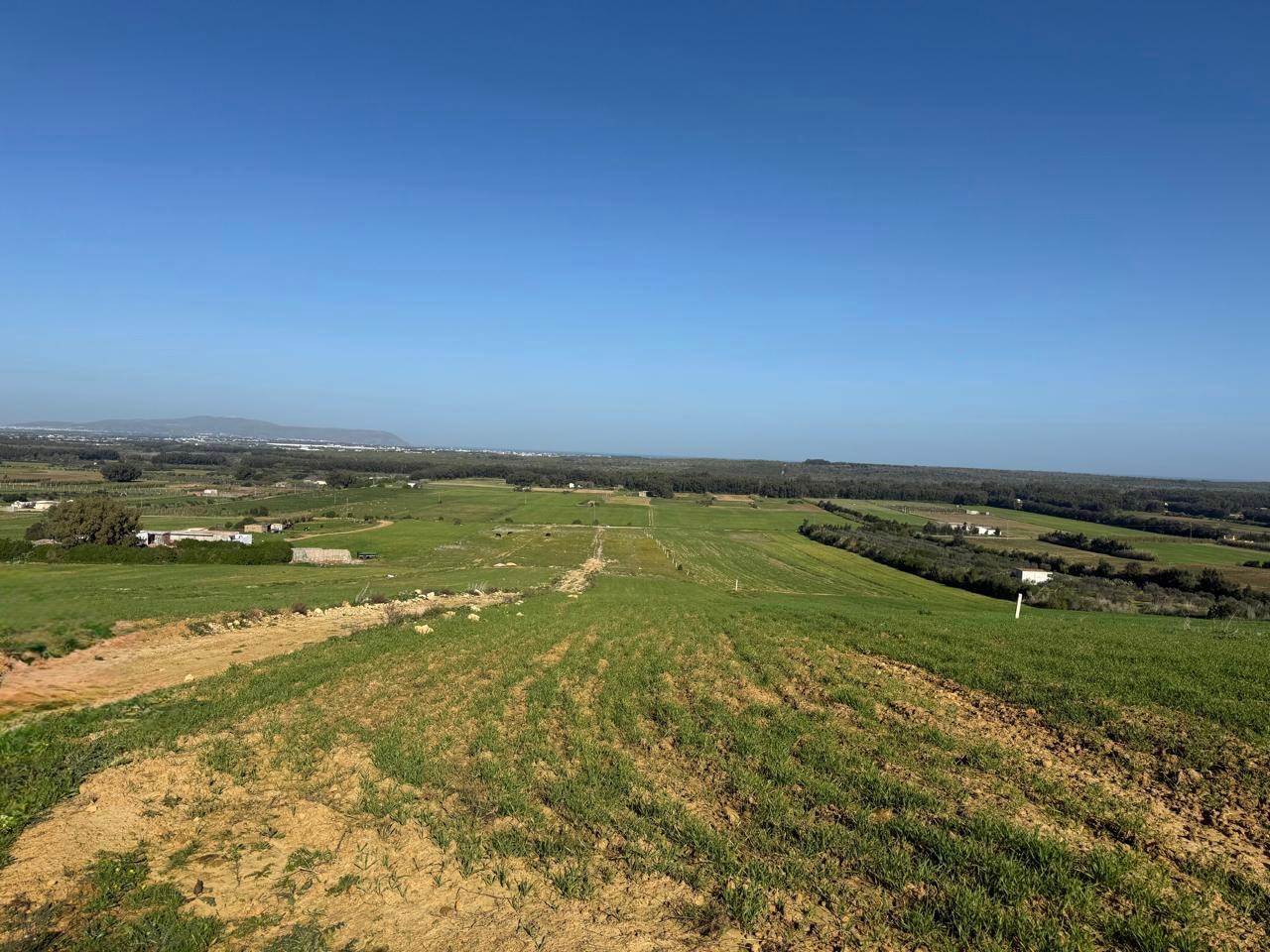 Vente&nbsp;Surfaces - Tunisie