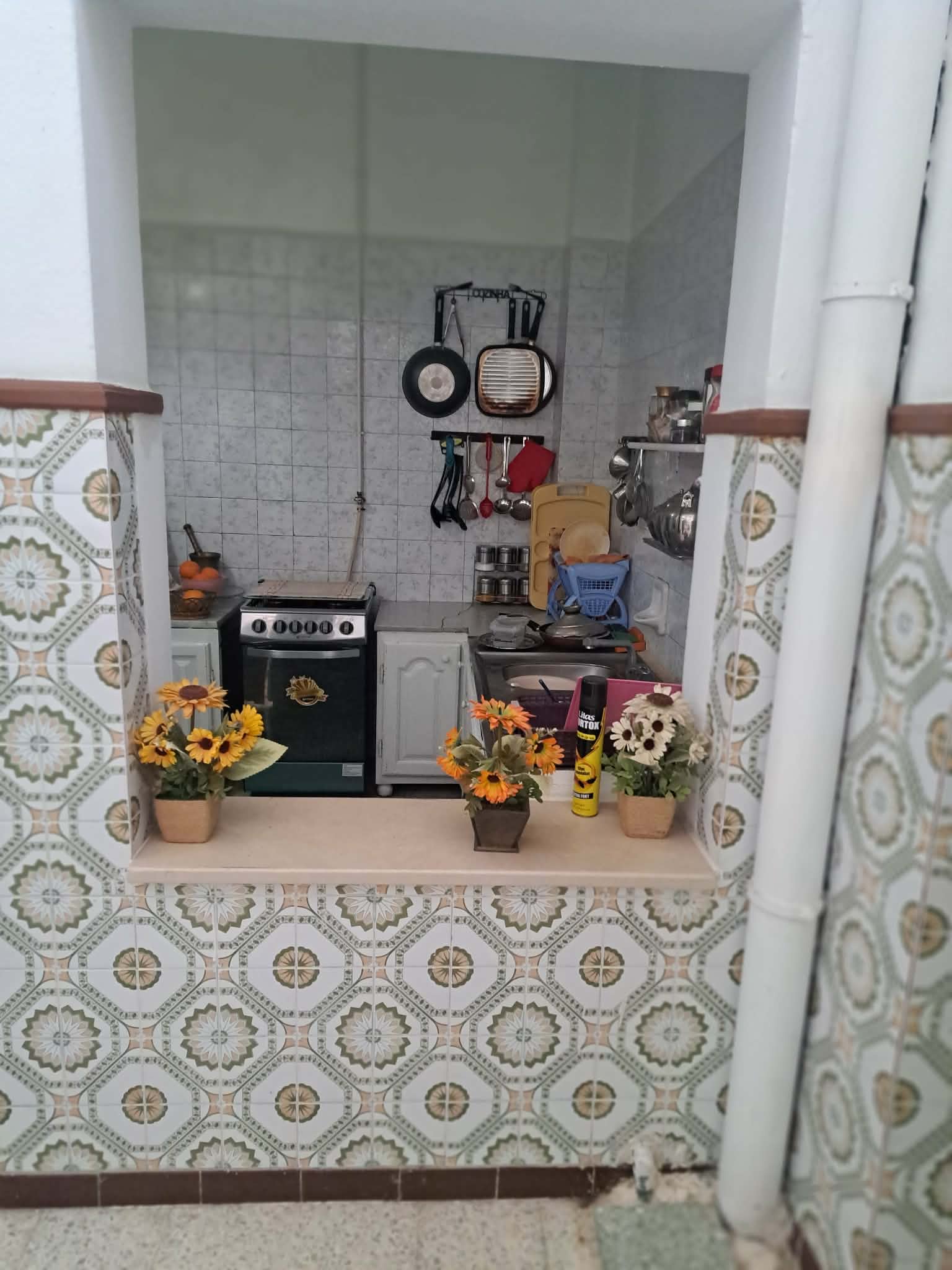 Ariana Ville&nbsp;Ariana&nbsp;Vente&nbsp;Maisons&nbsp;Petite villa � ariana ville