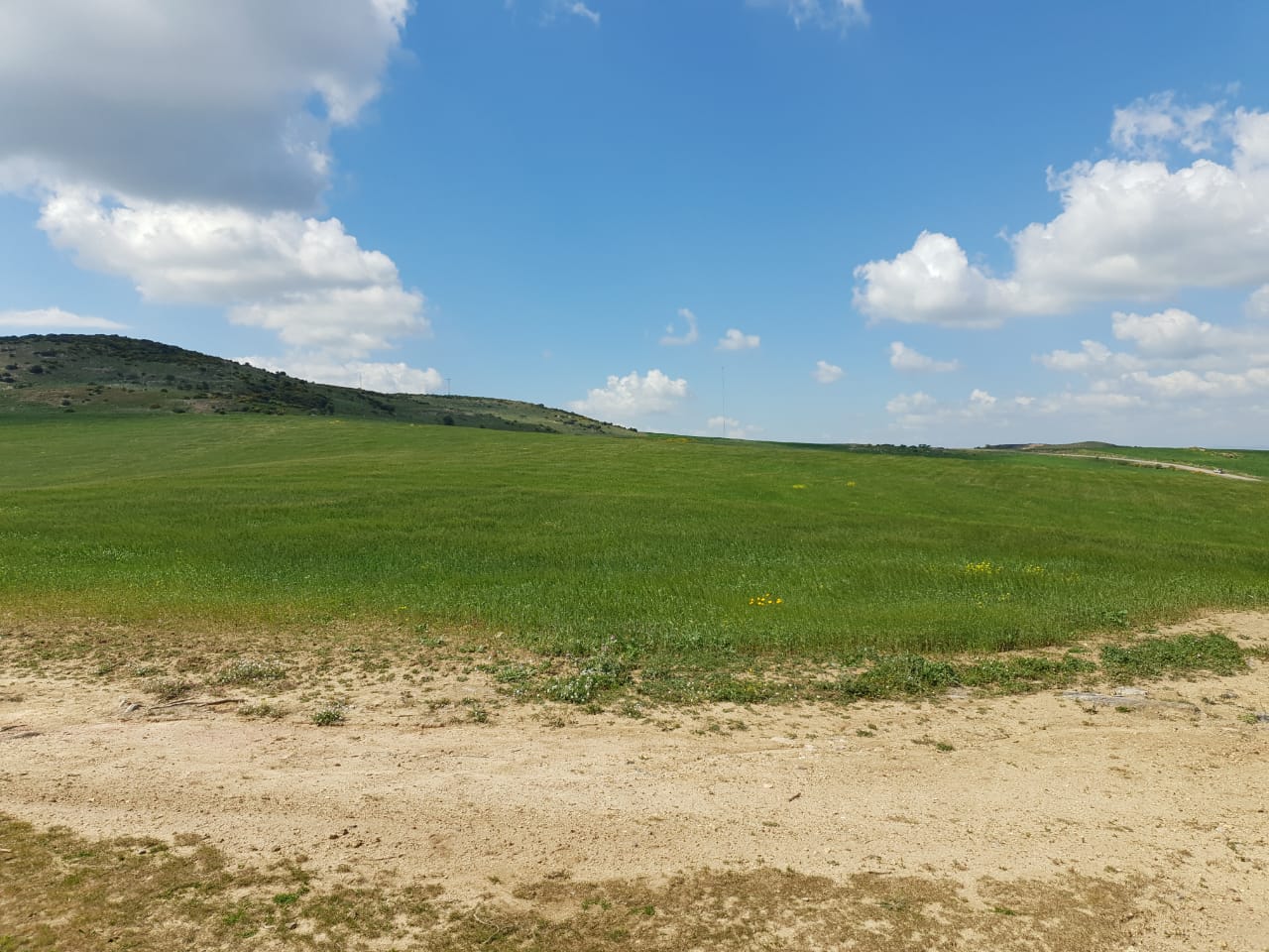 Tebourba&nbsp;El Ansarine&nbsp;Vente&nbsp;Surfaces&nbsp;Terrain agricole