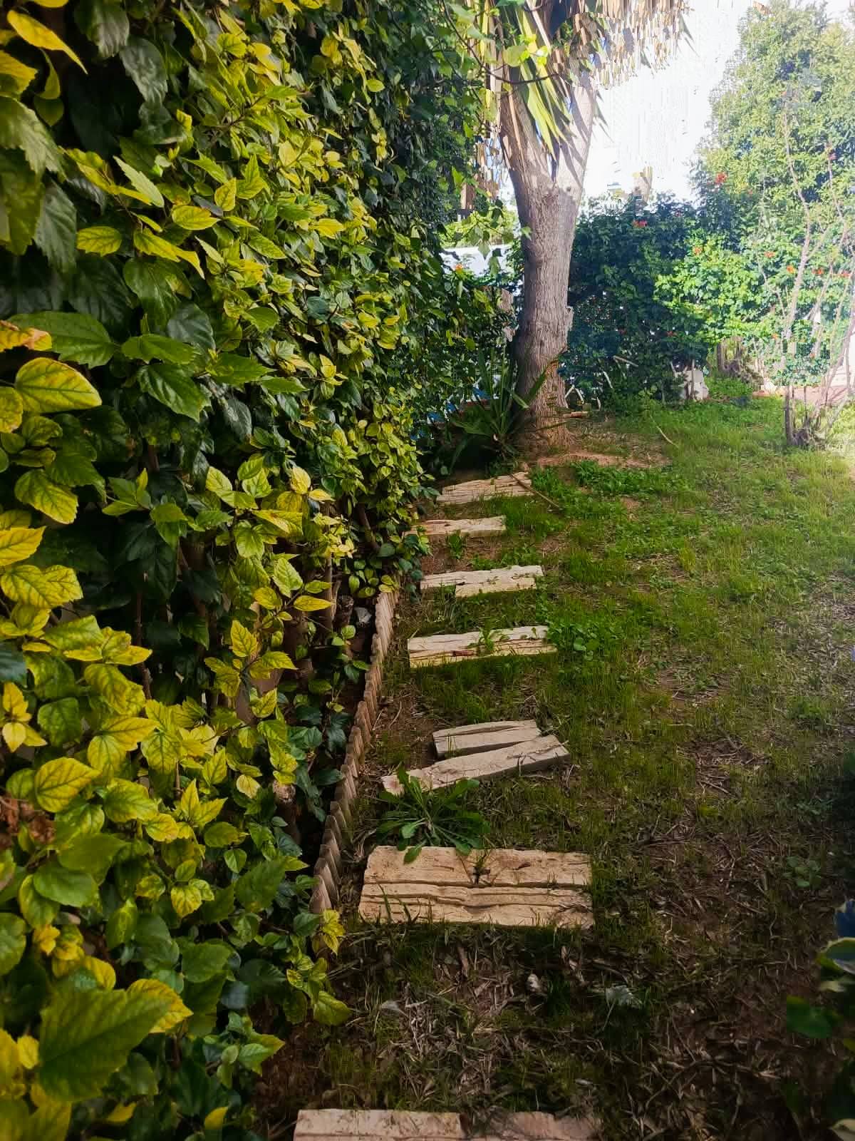 Ariana Ville&nbsp;Cite Ennasr 2&nbsp;Vente&nbsp;Maisons&nbsp;Agr�able villa 3 niveaux ennasr 2