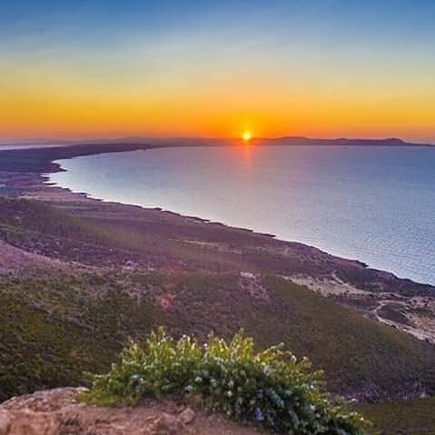 Ras Jebel&nbsp;Cap Zbib&nbsp;Vente&nbsp;Maisons&nbsp;Terrains et villas � metline cap zbib et demna