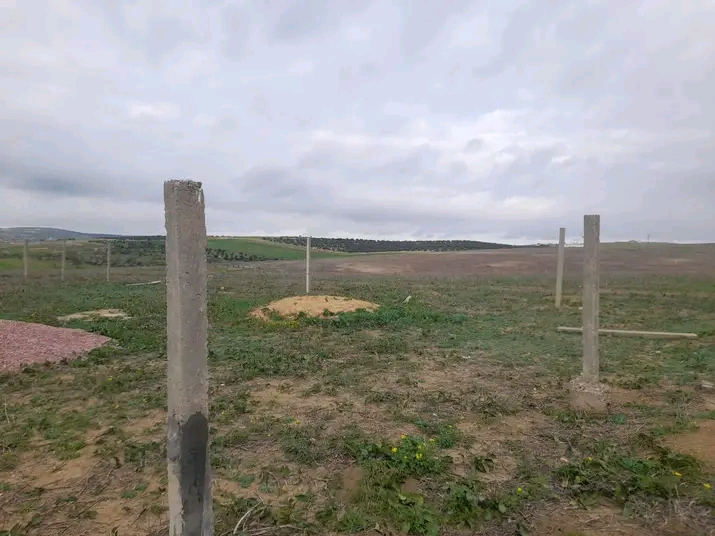 Mornaguia&nbsp;Mornaguia&nbsp;Terrain&nbsp;Terrain nu&nbsp;Terrain magnifique