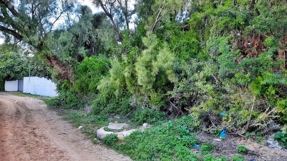 Ras Jebel&nbsp;Cite Kaa El Ballout&nbsp;Vente&nbsp;Maisons&nbsp;Maison s 2  terrain 310 m 2 route plage