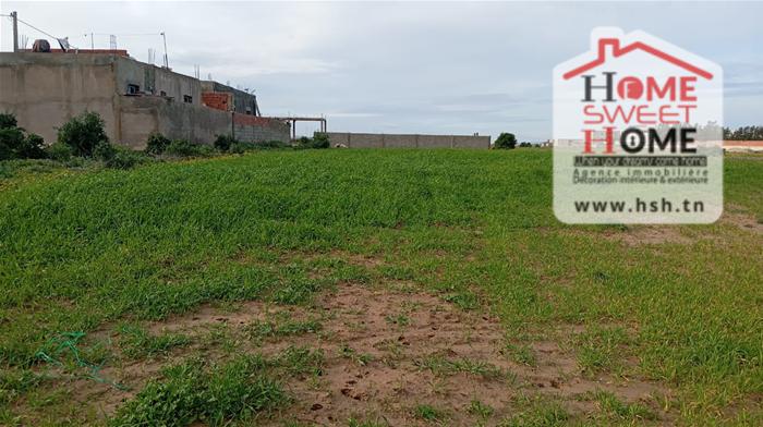 Vente&nbsp;Surfaces - Tunisie