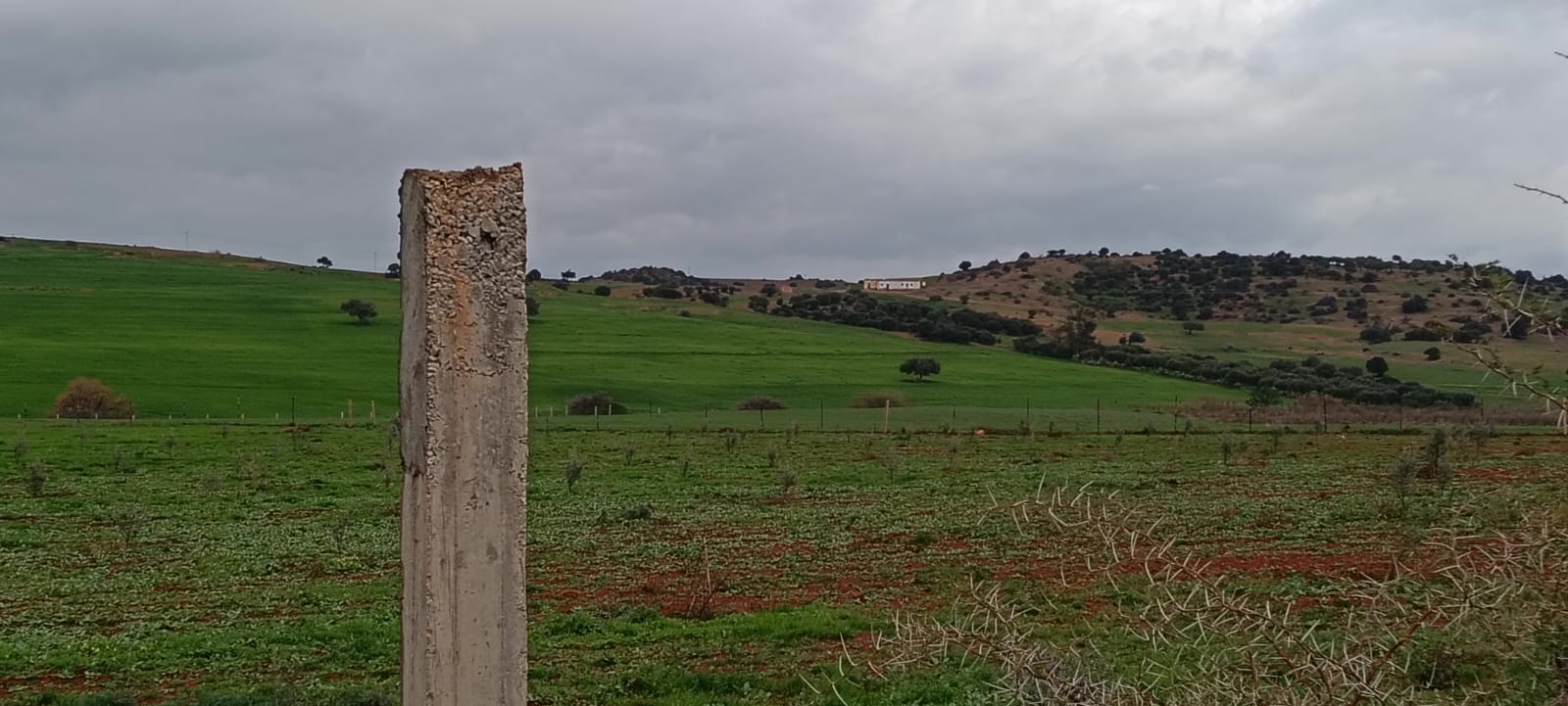 Testour&nbsp;Testour&nbsp;Terrain&nbsp;Terrain agricole&nbsp;Agricole testour