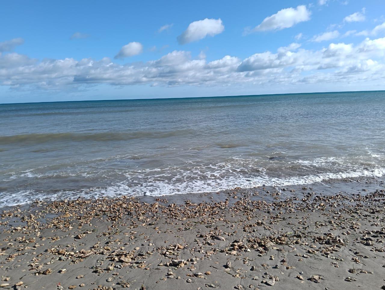 Hammam El Ghezaz&nbsp;Ezzahra&nbsp;Vente&nbsp;Autre&nbsp;Investissez au bord de la mer � hammam el ghzez
