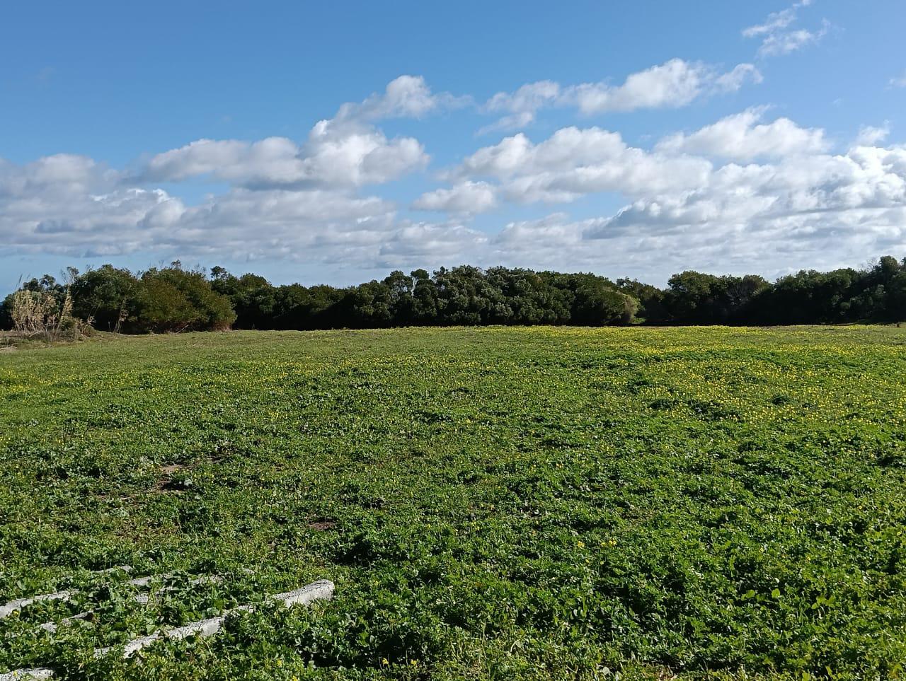 Hammam El Ghezaz&nbsp;Ezzahra&nbsp;Vente&nbsp;Autre&nbsp;Construisez votre villa de r�ve � 2 pas de l'eau