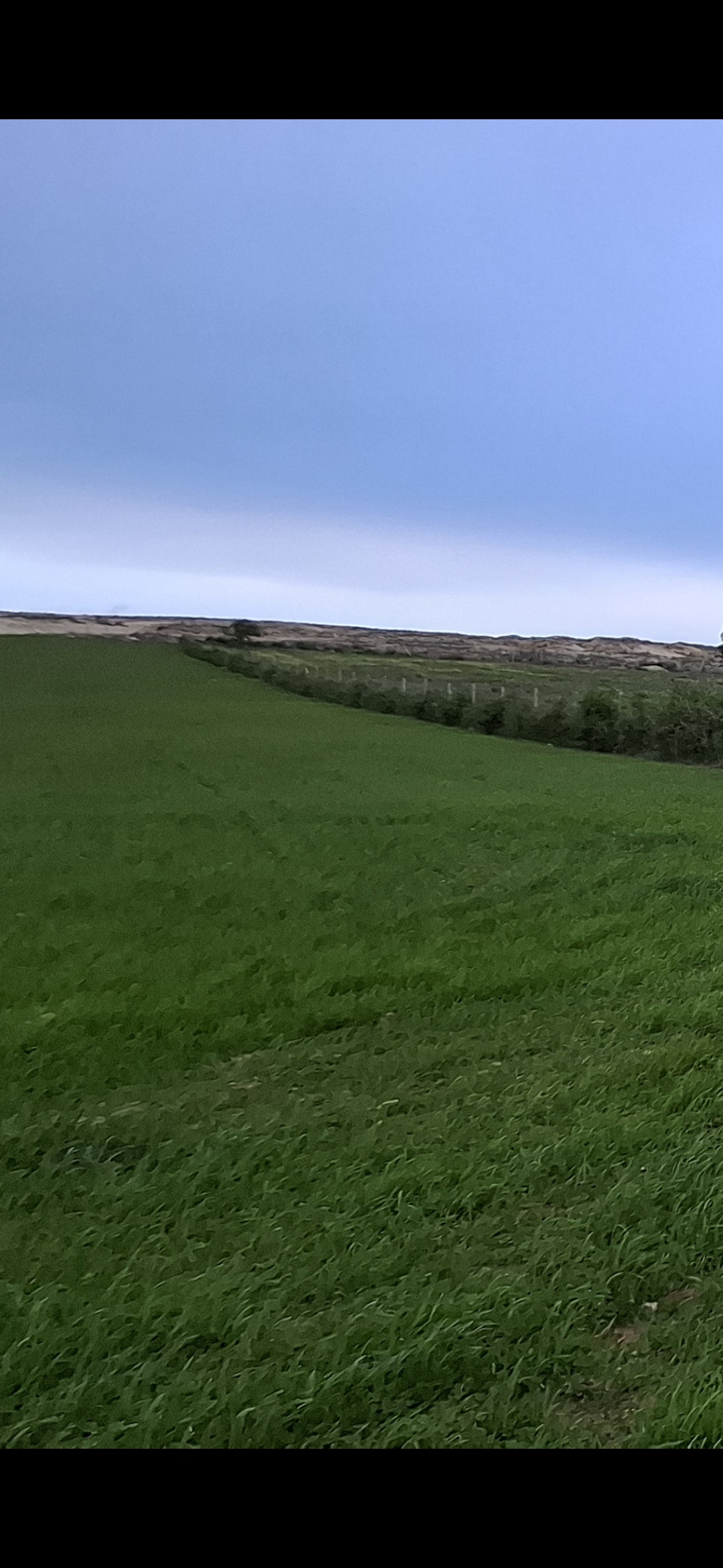 Vente&nbsp;Surfaces - Tunisie