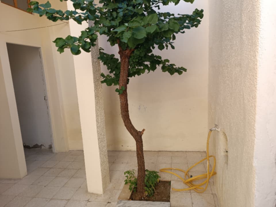 El Hrairia&nbsp;Cite Essalama&nbsp;Vente&nbsp;Maisons&nbsp;Maison de 100 m  rdc et 1er