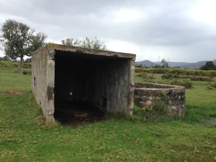 Tabarka&nbsp;Tabarka&nbsp;Terrain&nbsp;Terrain agricole&nbsp;Terrain agricole tabarka