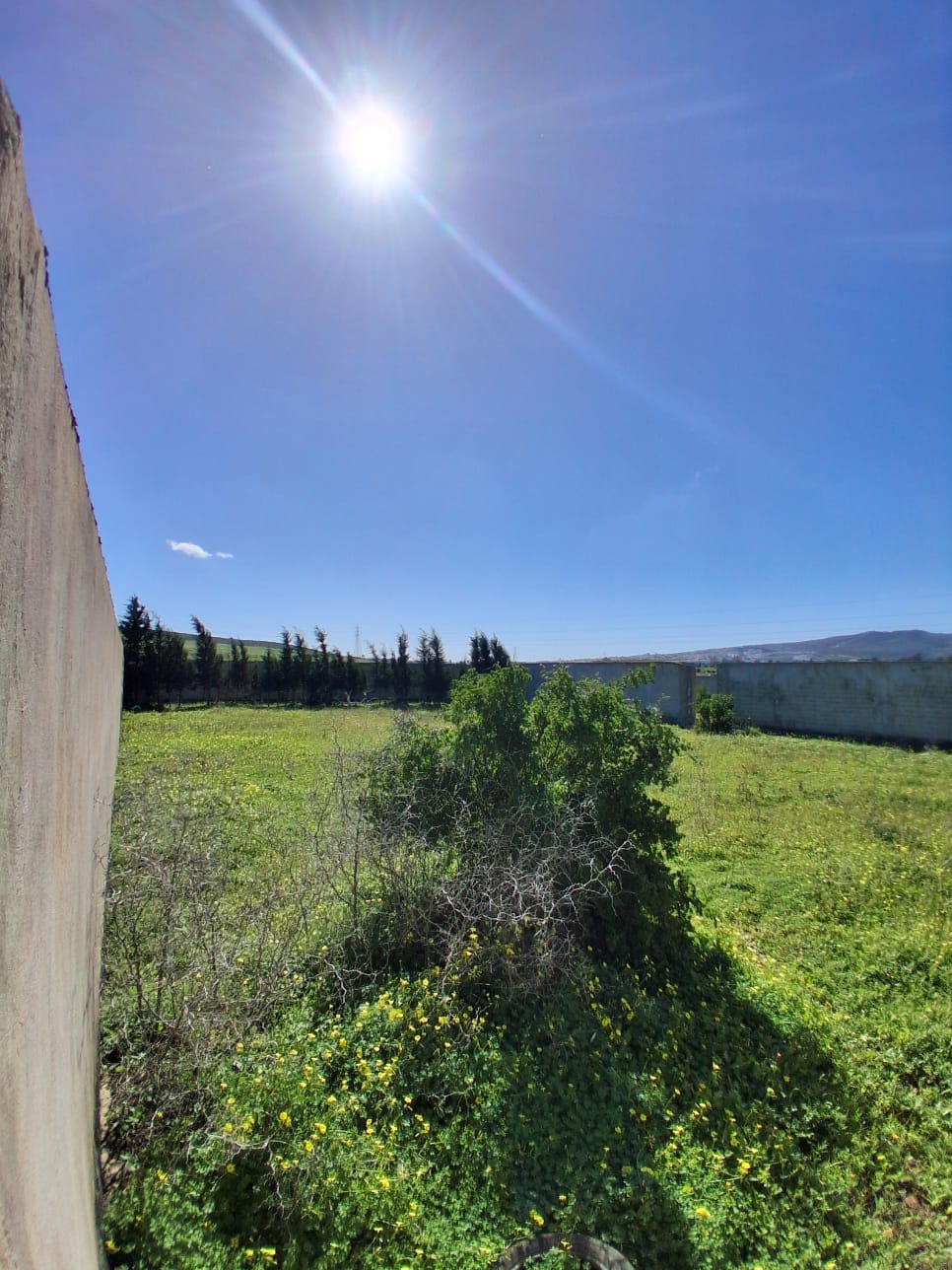 Vente&nbsp;Surfaces - Tunisie