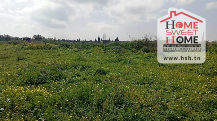 Raoued&nbsp;Borj Touil&nbsp;Vente&nbsp;Surfaces&nbsp;Terrain villa rimel � borj touil