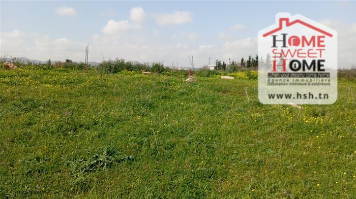 Vente Surfaces - Tunisie