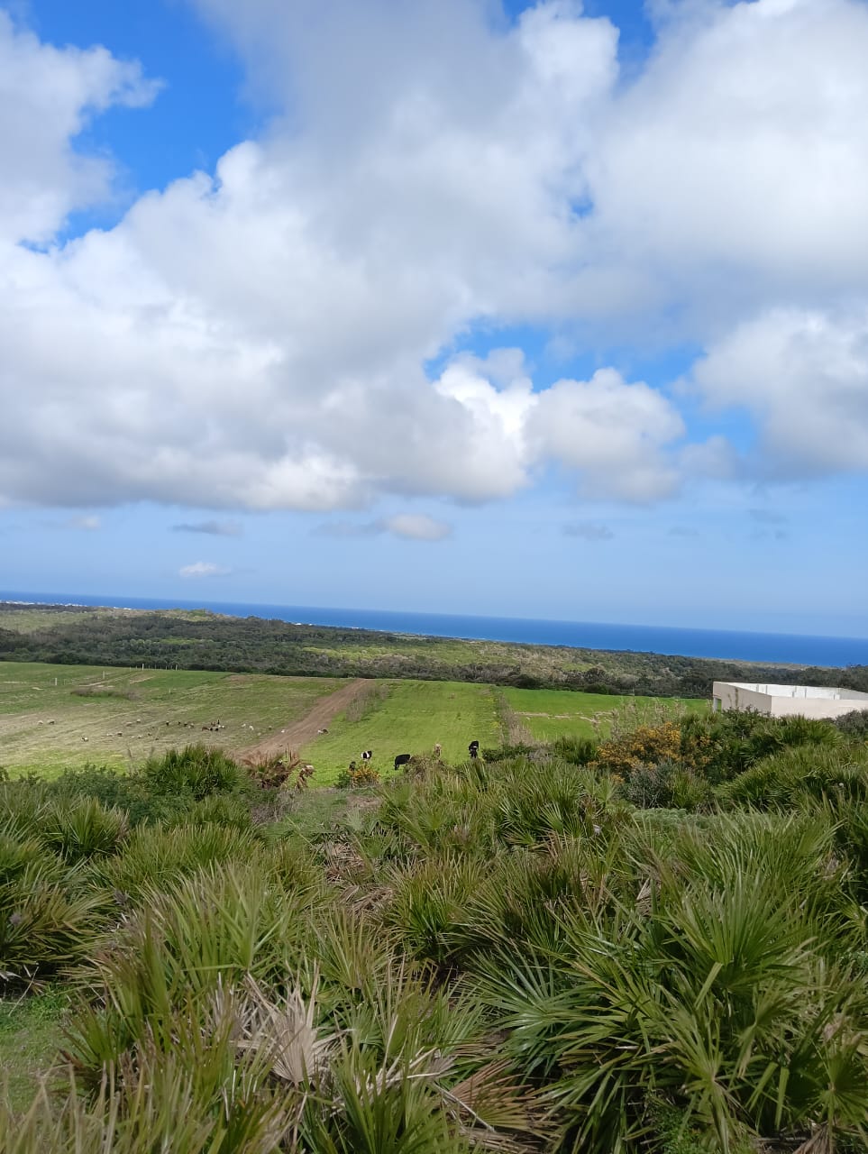 Vente&nbsp;Autre - Tunisie