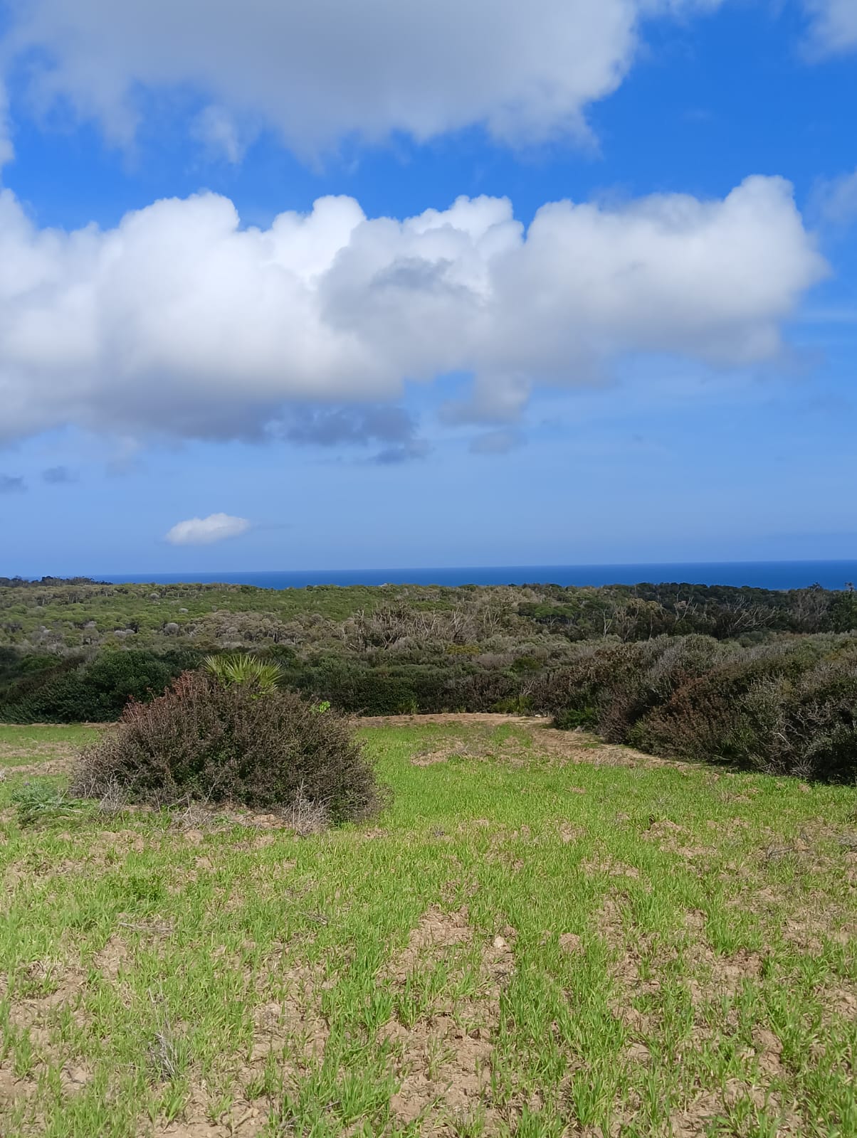 Kelibia&nbsp;Kelibia&nbsp;Vente&nbsp;Autre&nbsp;Calmemers�curite