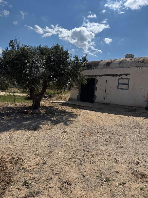 Enfidha&nbsp;Enfidha&nbsp;Vente&nbsp;Autre&nbsp;Ferme zouhour r�f v3029