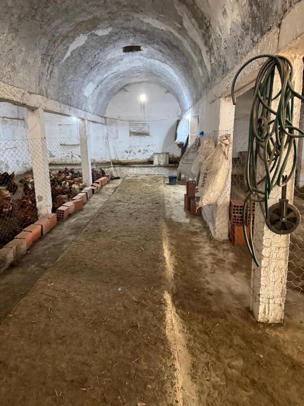 Enfidha&nbsp;Enfidha&nbsp;Vente&nbsp;Autre&nbsp;Ferme zouhour r�f v3029