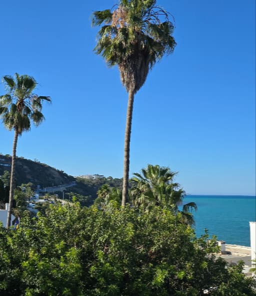 La Marsa&nbsp;Gammart&nbsp;Vente&nbsp;Autre&nbsp;Terrain vue mer gammarth