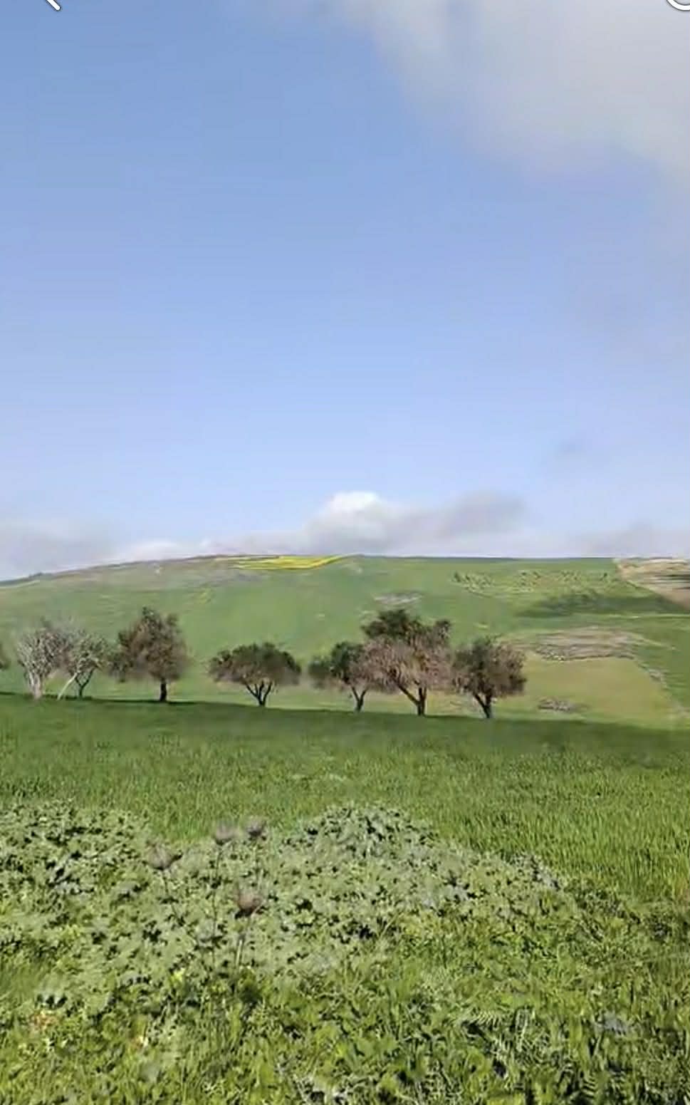 Teboursouk&nbsp;El Faouar&nbsp;Terrain&nbsp;Terrain agricole&nbsp;Terrain agricole