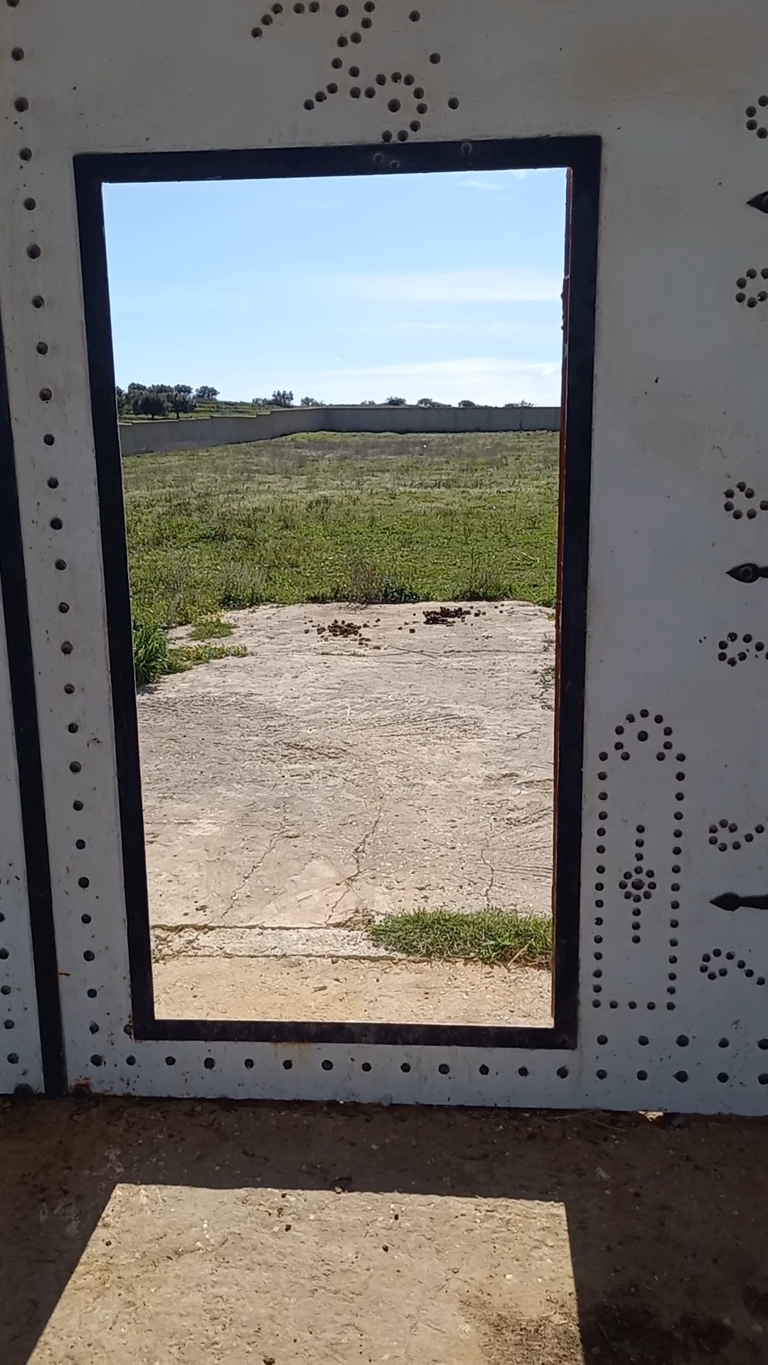 Hammamet&nbsp;Sidi Jedidi&nbsp;Terrain&nbsp;Terrain agricole&nbsp;Terrain � hammamet 8200m