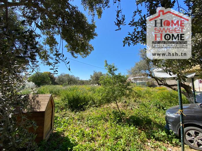 Vente&nbsp;Duplex - Tunisie