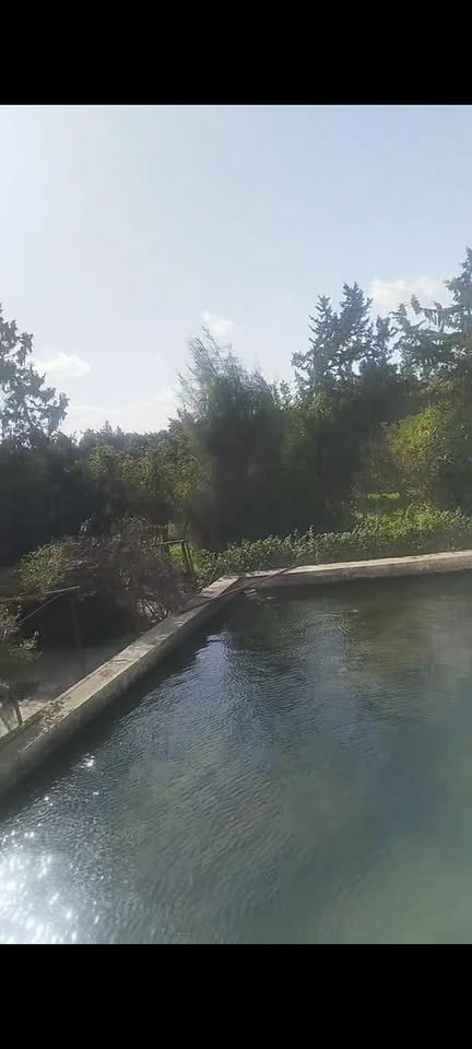 Vente Surfaces - Tunisie