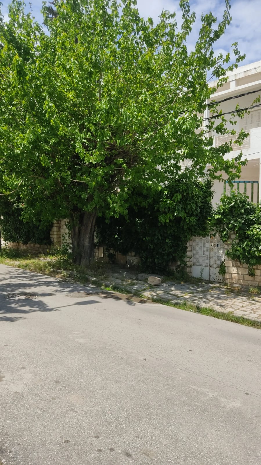 El Menzah&nbsp;Mutuelle Ville&nbsp;Vente&nbsp;Maisons&nbsp;Grande villa � fort potentiel