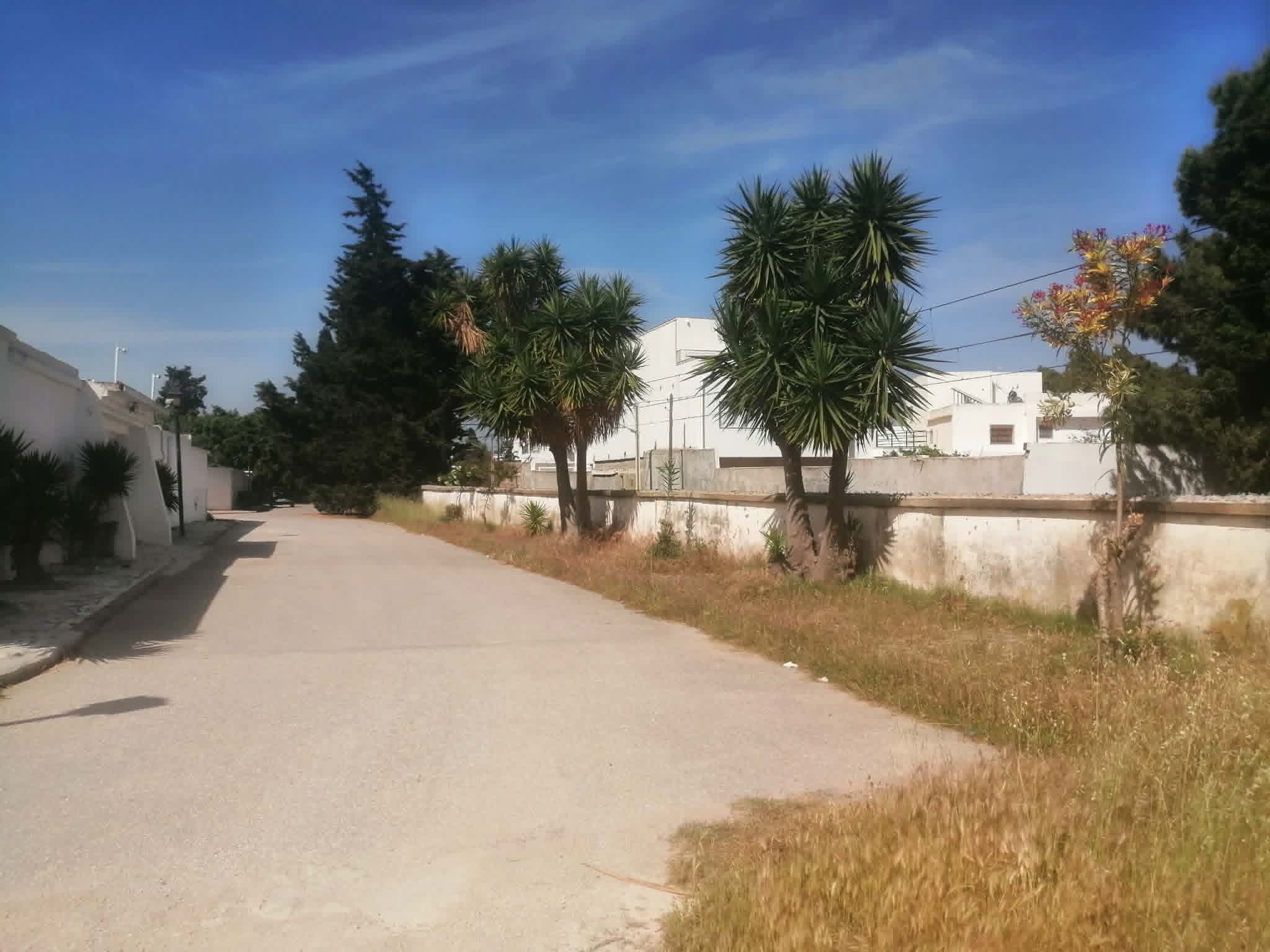 Vente&nbsp;Surfaces - Tunisie