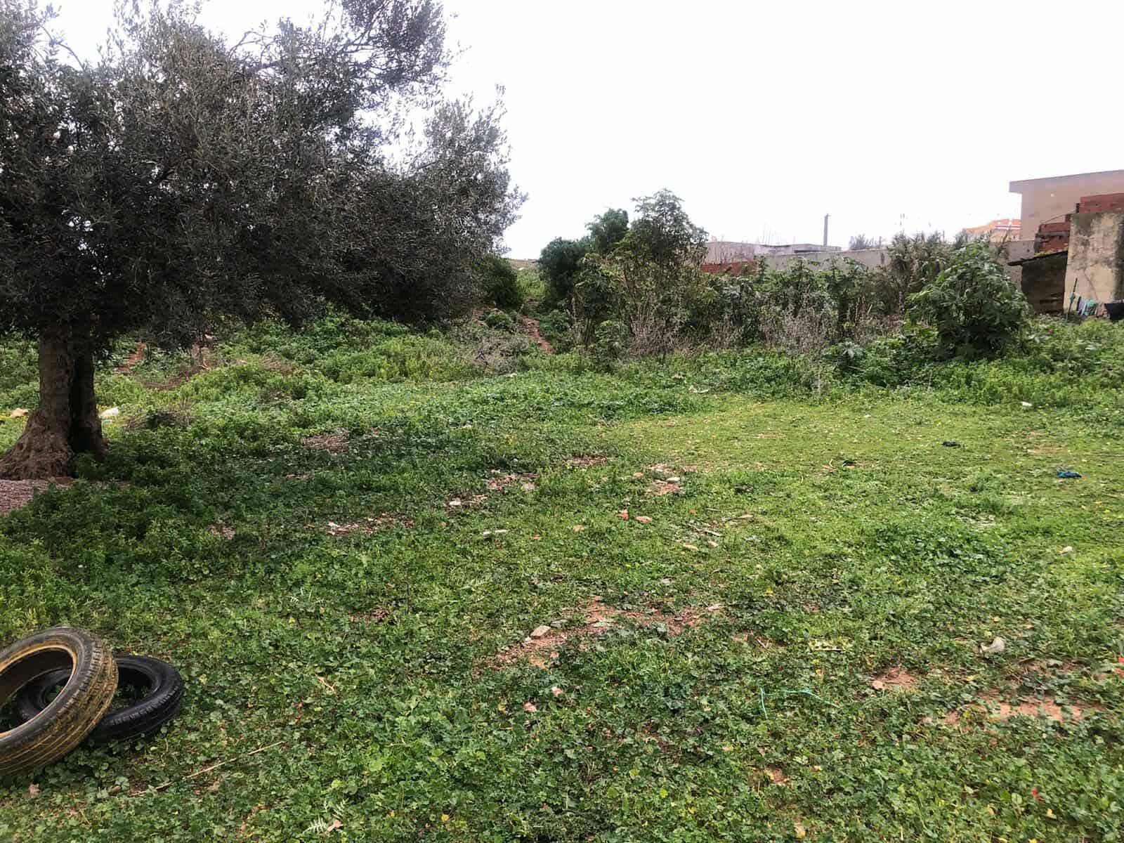 Vente&nbsp;Autre - Tunisie