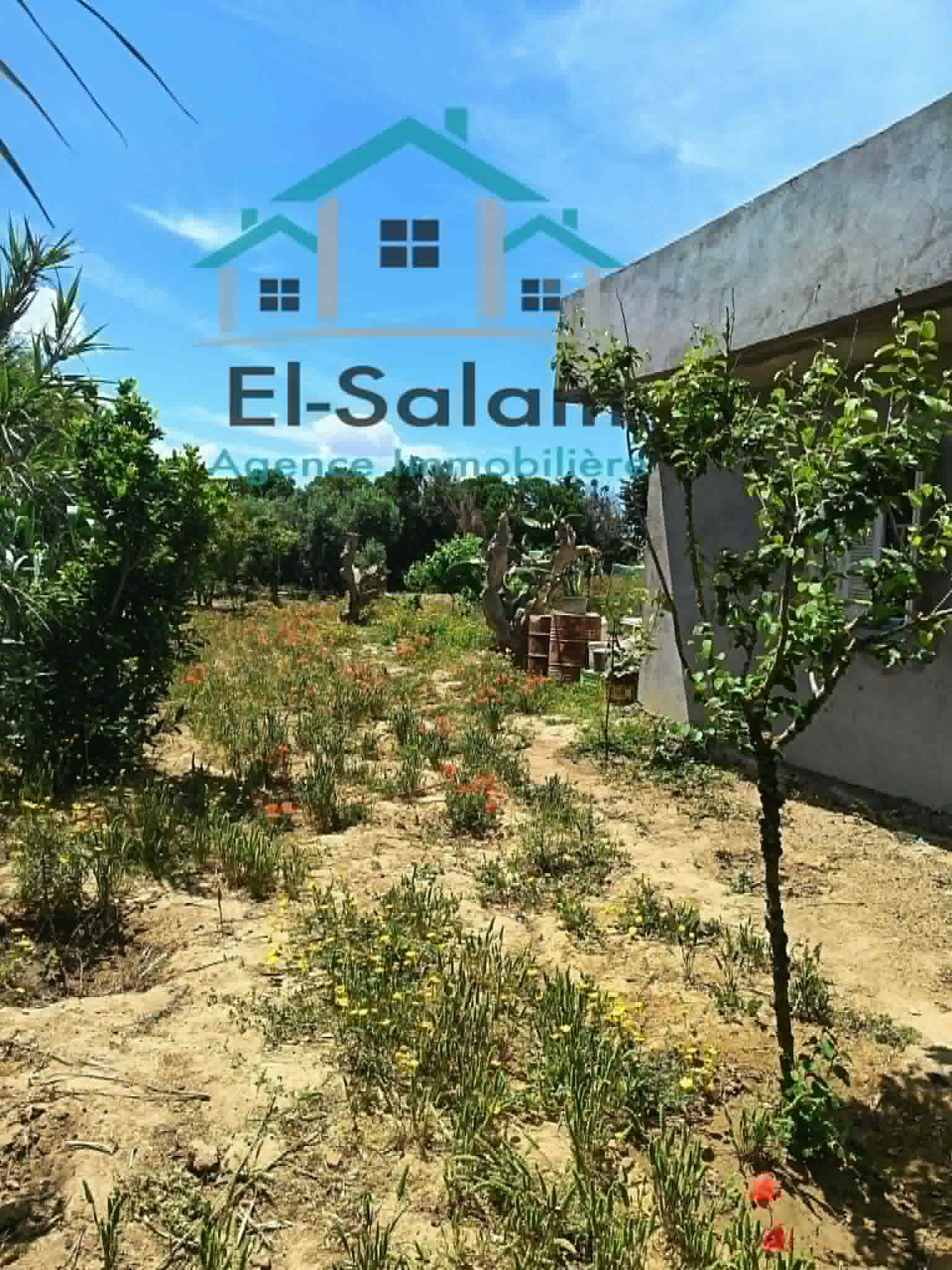 Kelibia&nbsp;Dar Allouche&nbsp;Vente&nbsp;Maisons&nbsp;Maison a kelibia opportunit� a ne pas rat�