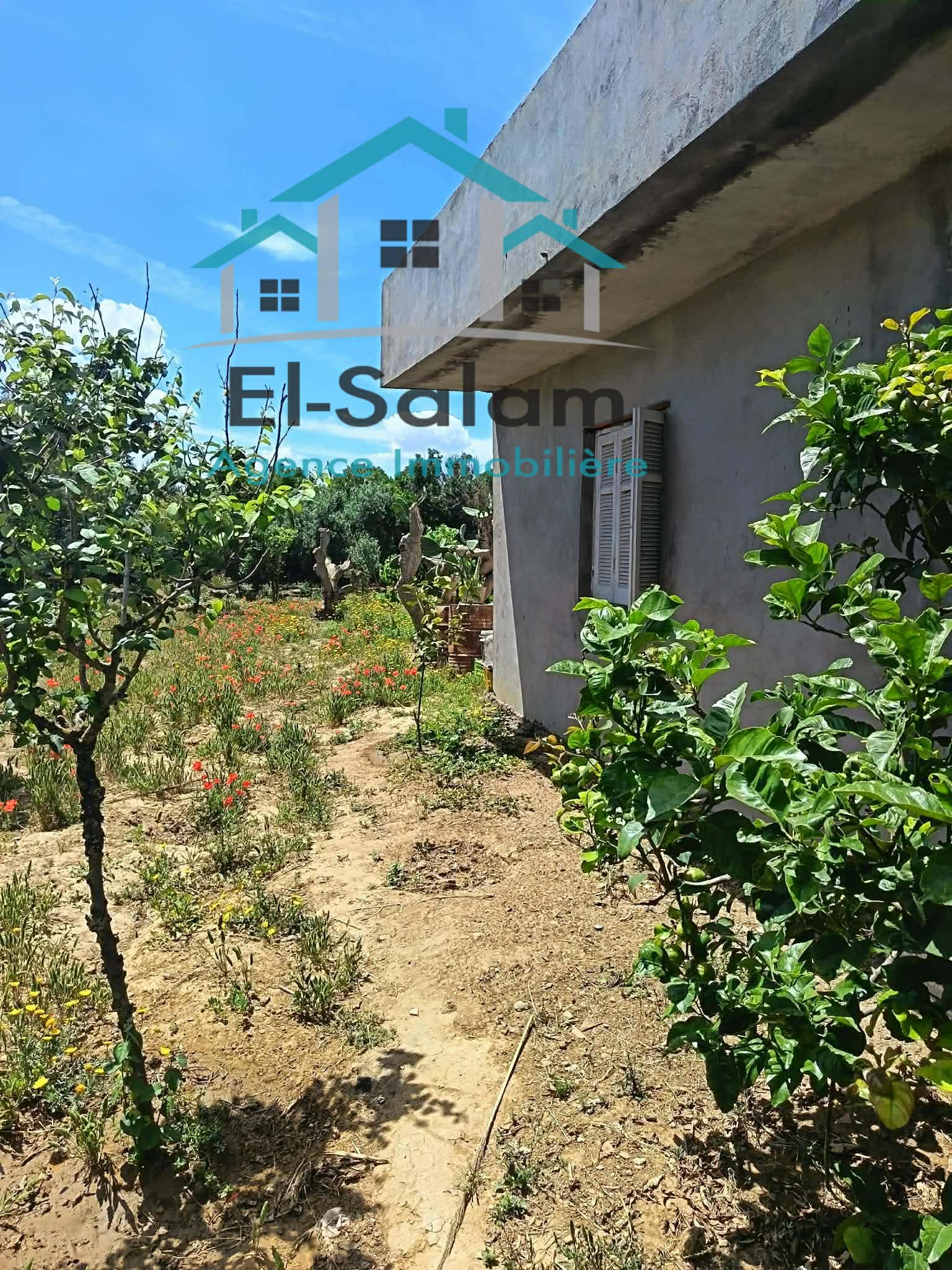 Kelibia&nbsp;Dar Allouche&nbsp;Vente&nbsp;Maisons&nbsp;Maison a kelibia opportunit� a ne pas rat�