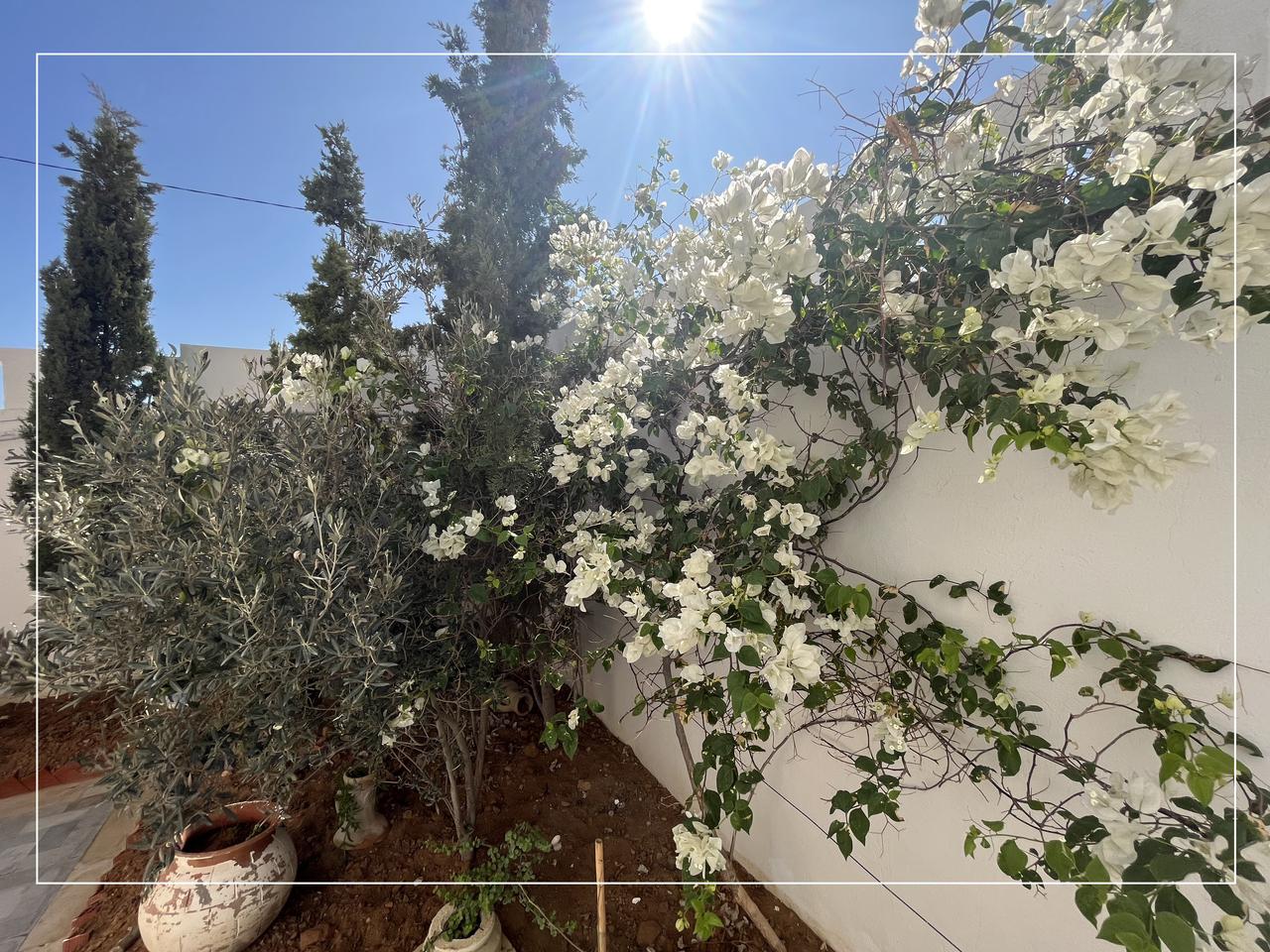 Vente&nbsp;Maisons - Tunisie