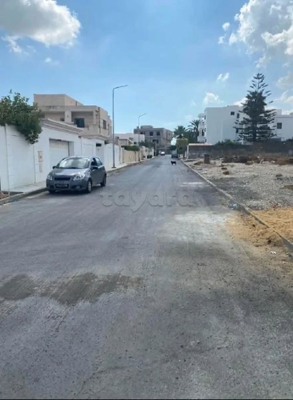 Vente&nbsp;Autre - Tunisie