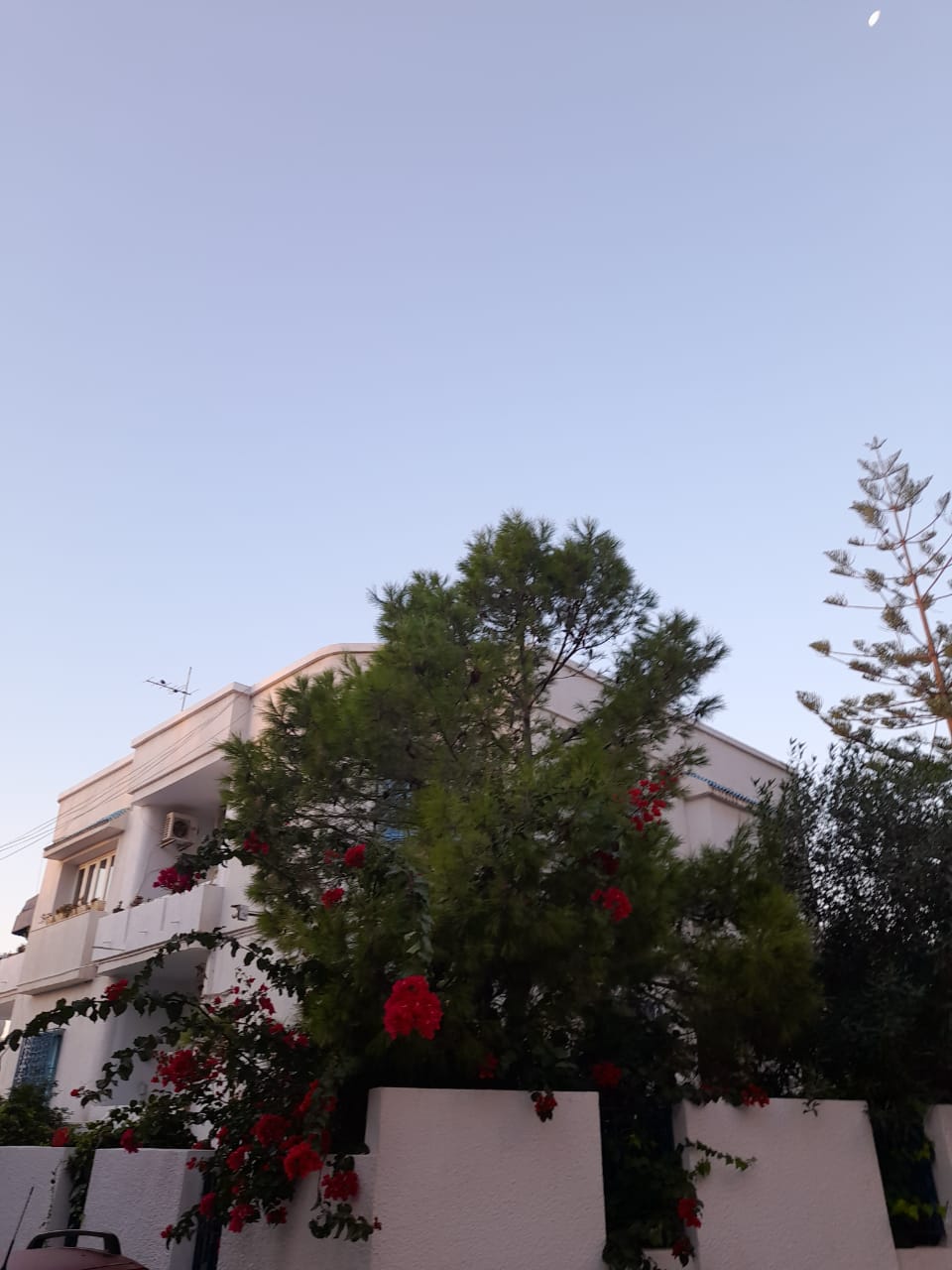Vente&nbsp;Maisons - Tunisie