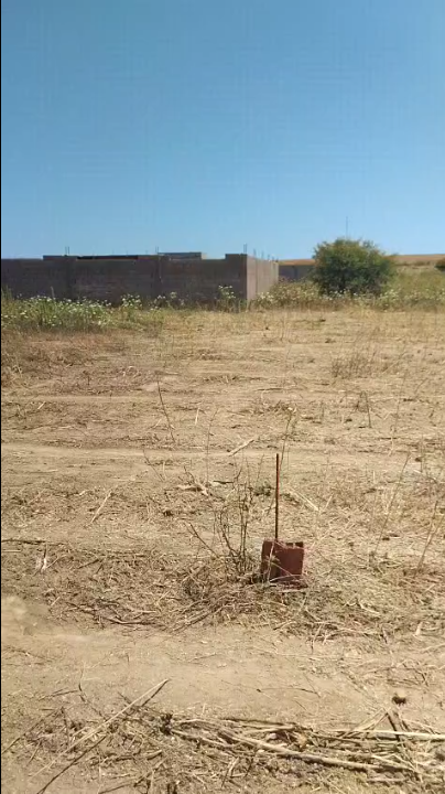 Kalaat Landlous&nbsp;Pont De Bizerte&nbsp;Vente&nbsp;Surfaces&nbsp;Terrain r�sidentiel � el kantara ariana