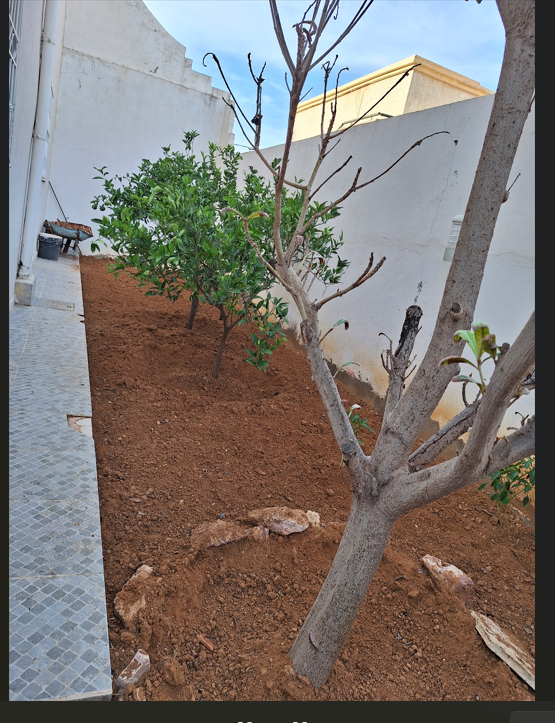 Raoued&nbsp;Cite Ennkhilet&nbsp;Vente&nbsp;Maisons&nbsp;Maison r et deux �tages