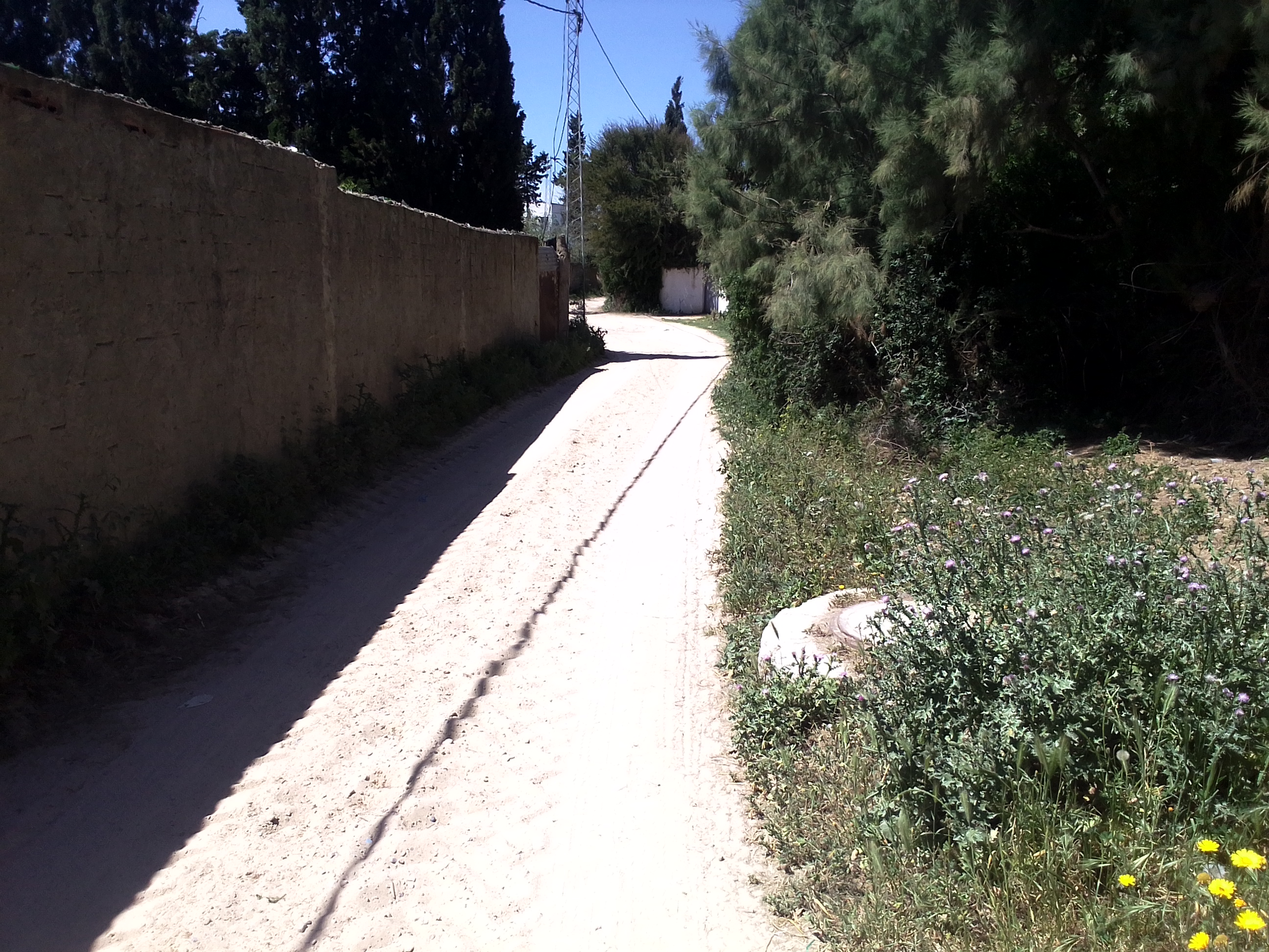 Ras Jebel&nbsp;Cite Kaa El Ballout&nbsp;Vente&nbsp;Maisons&nbsp;Maison terrain route plage mami rasjbal