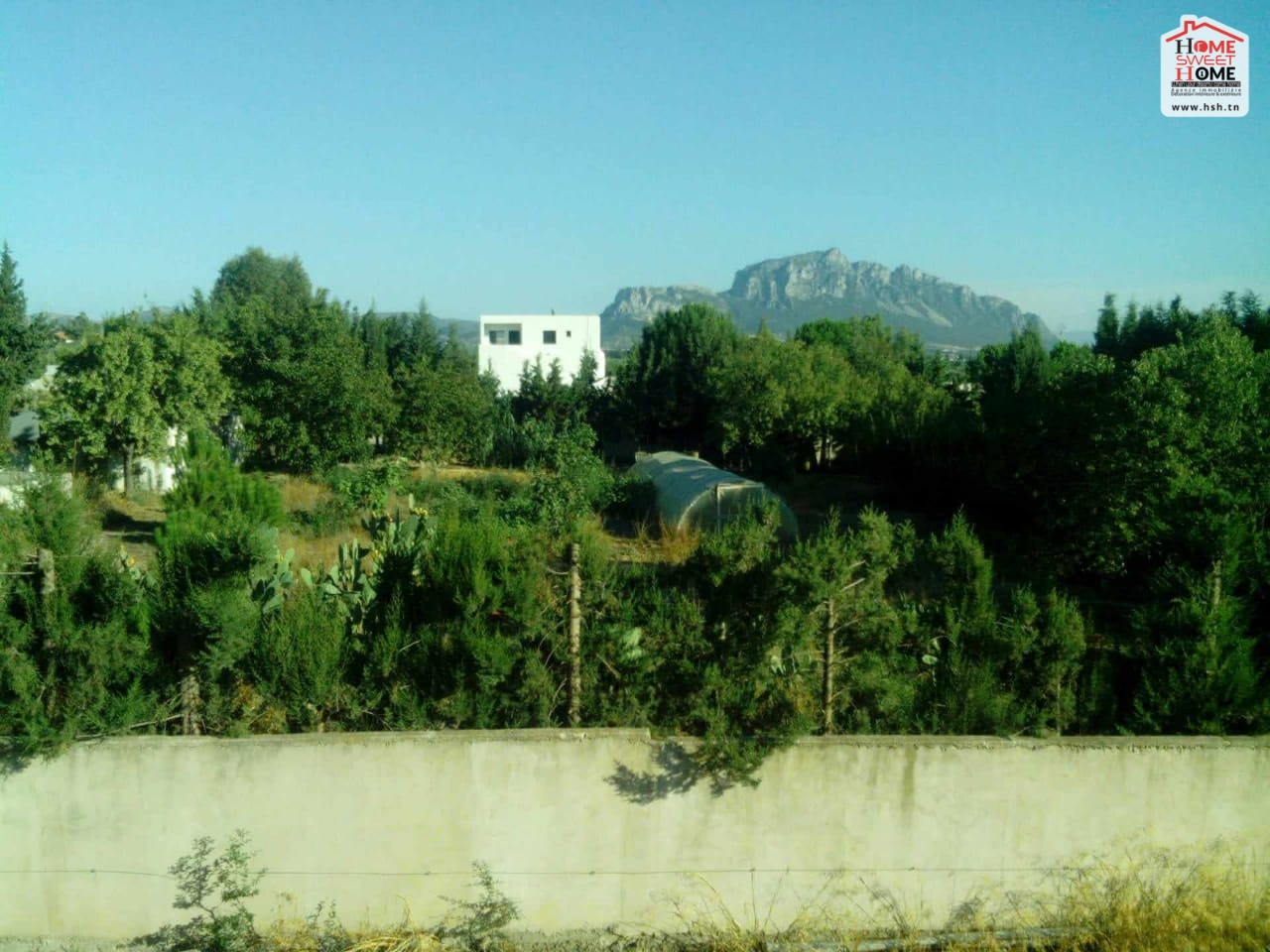 Mornag&nbsp;Mornag&nbsp;Vente&nbsp;Autre&nbsp;Ferme anwar � morneg