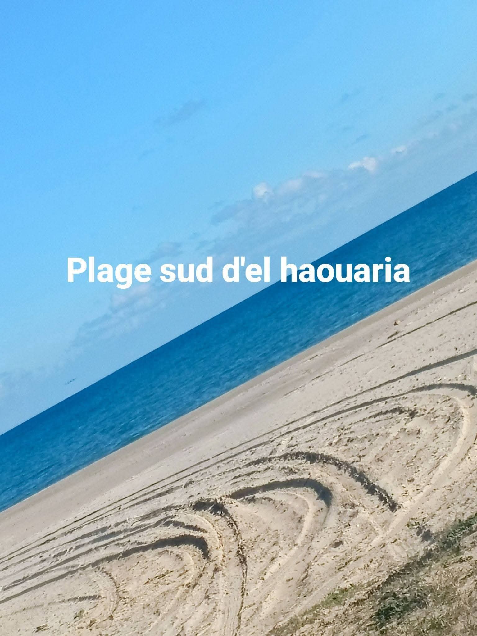 El Haouaria&nbsp;Cite Touristique&nbsp;Terrain&nbsp;Terrain nu&nbsp;Terrain el haouaria plage