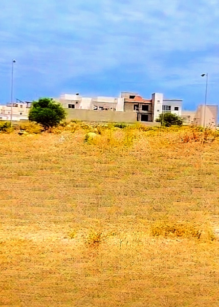 Vente&nbsp;Surfaces - Tunisie