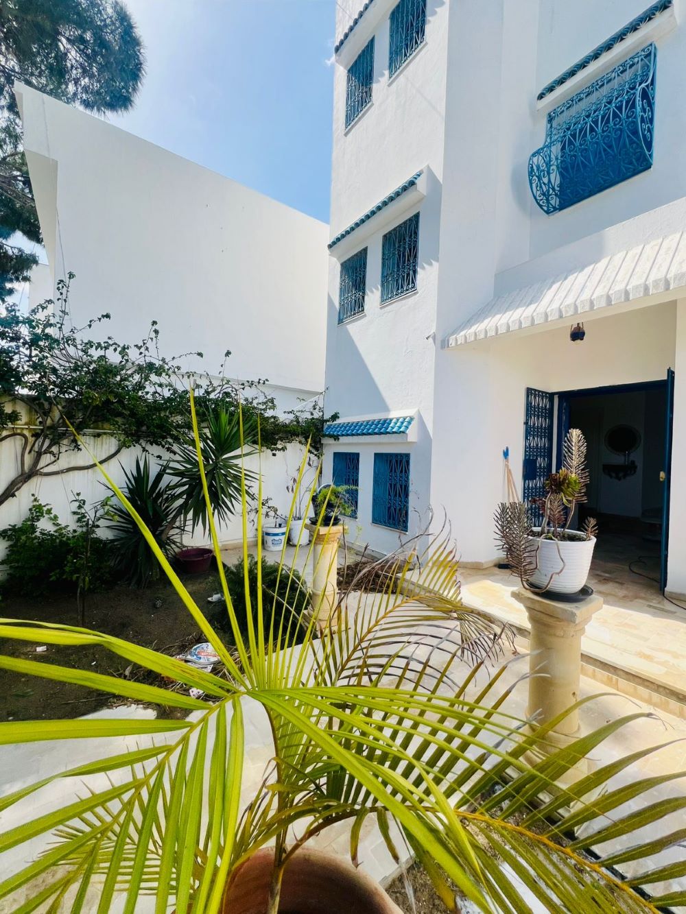 Hammamet&nbsp;Hammamet&nbsp;Vente&nbsp;Maisons&nbsp;V616 maison la palma g