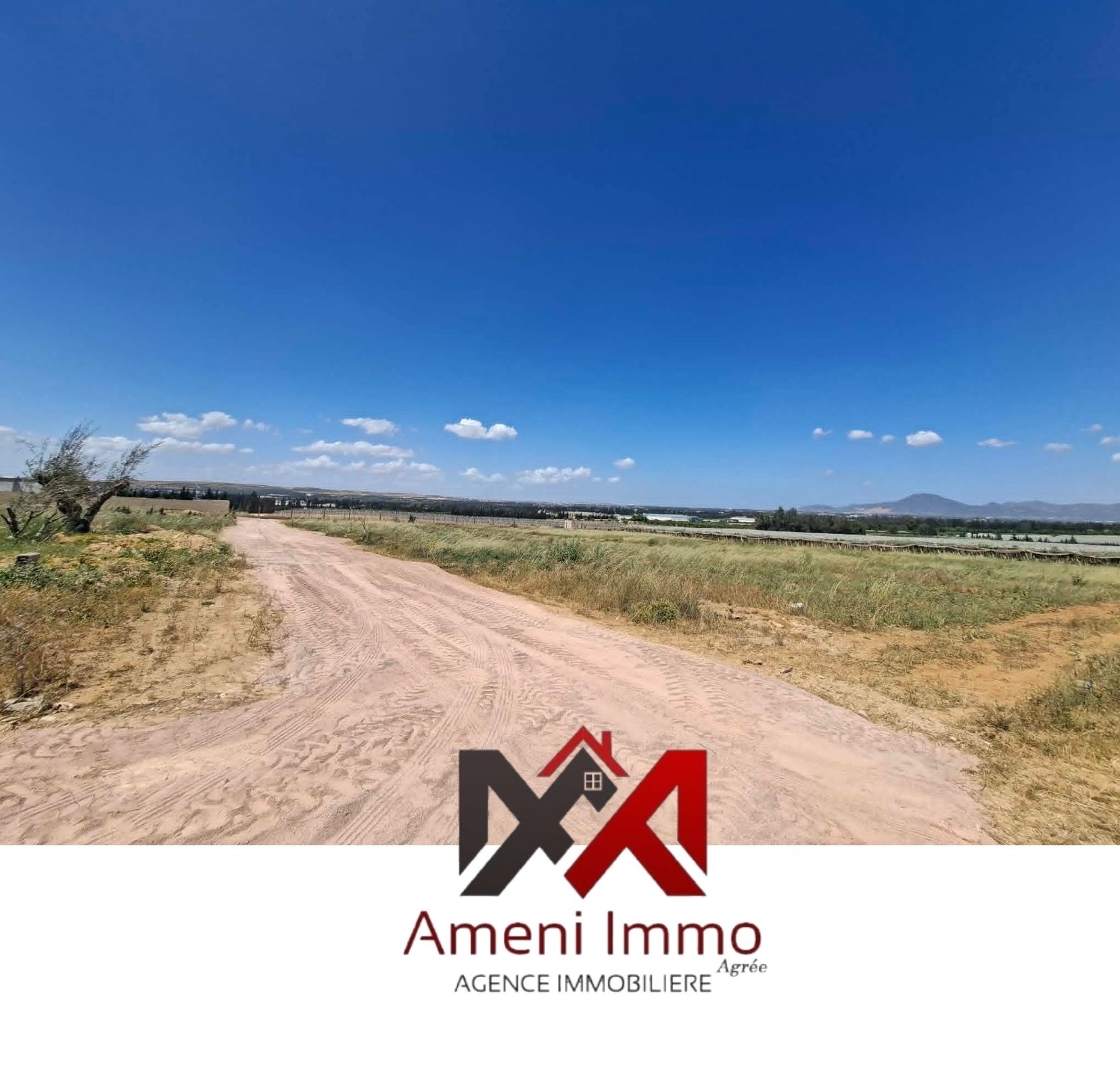 Ben Arous&nbsp;Ben Arous&nbsp;Vente&nbsp;Autre&nbsp;Un lot de terrain nu � el khelidia