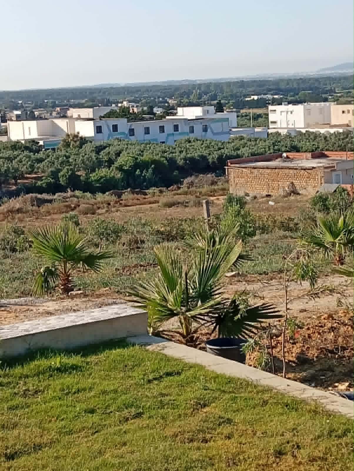 Kelibia&nbsp;Azmour&nbsp;Vente&nbsp;Maisons&nbsp;Maison de 4000m2