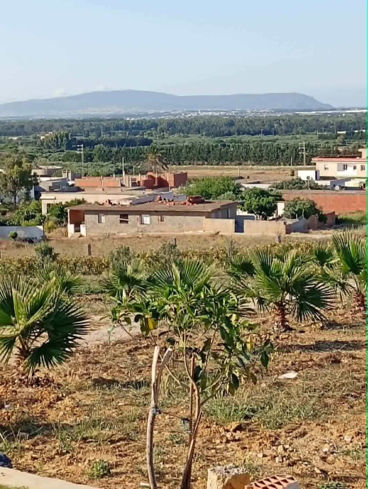 Kelibia&nbsp;Azmour&nbsp;Vente&nbsp;Maisons&nbsp;Maison de 4000m2