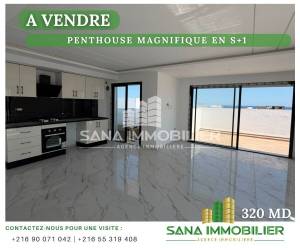 Hammamet&nbsp;Hammamet&nbsp;Vente&nbsp;Appart. 1 pi�ce&nbsp;   penthouse s1 avec vue mer ref552a