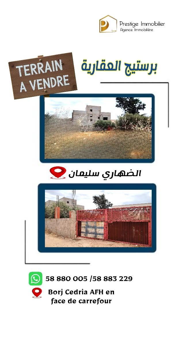 Soliman&nbsp;Dhahri&nbsp;Vente&nbsp;Surfaces&nbsp;Surface agricole