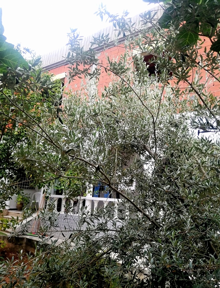 Mnihla&nbsp;Essanhaji&nbsp;Vente&nbsp;Maisons&nbsp;Bonne affaire