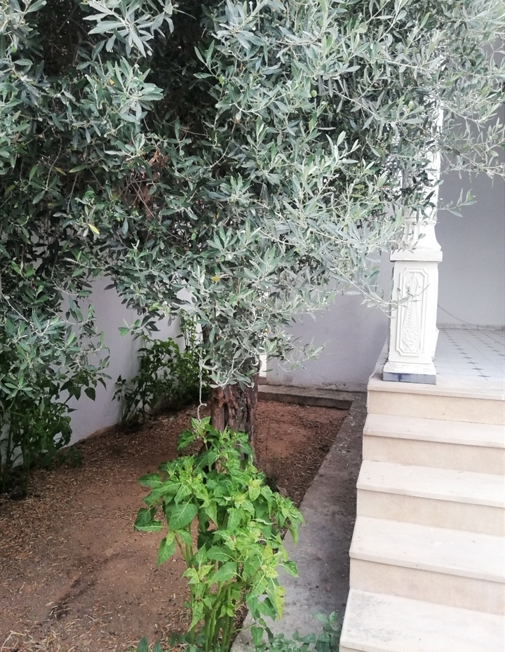 Vente&nbsp;Maisons - Tunisie